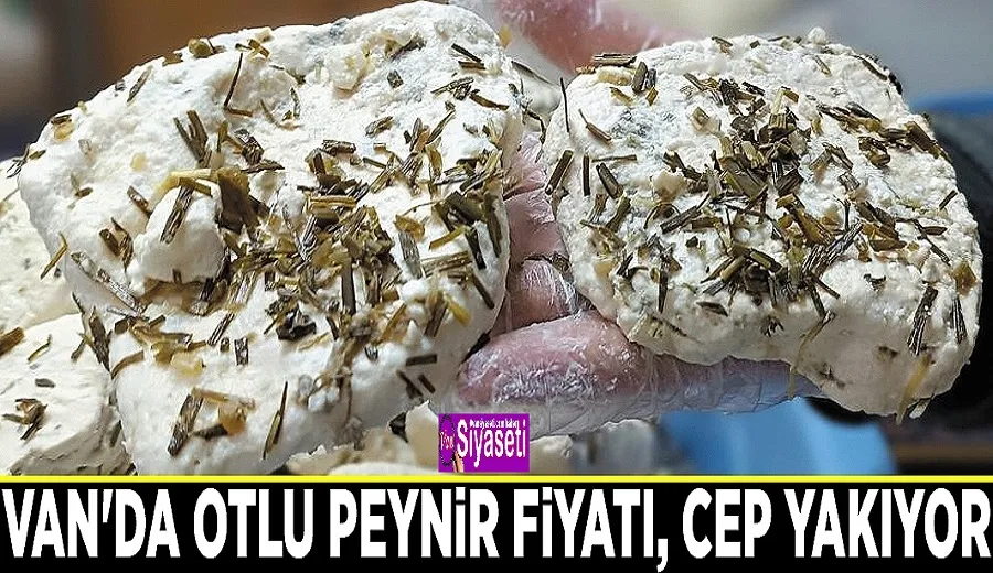 Van Otlu Peyniri Lüks Oldu: Kilosu 350 TL