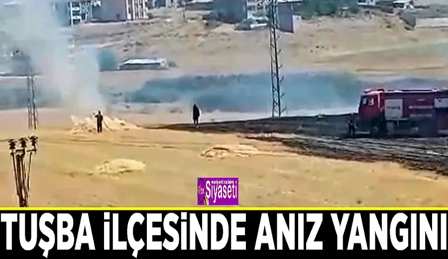 Tuşba ilçesinde anız yangını