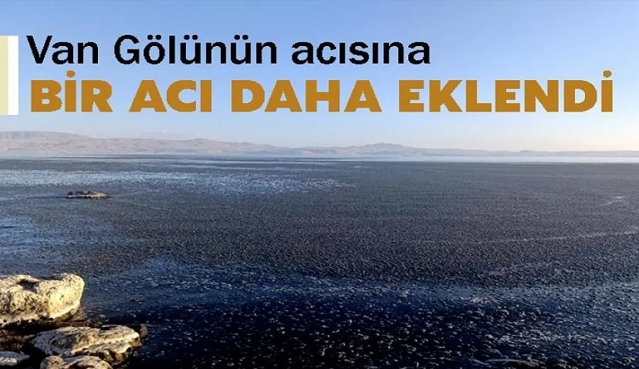 Van Gölünün acısına bir acı daha eklendi