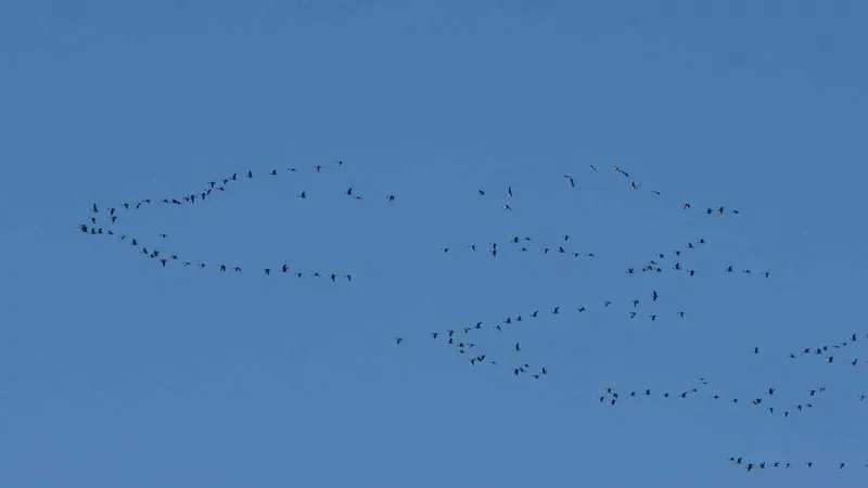 Zorlu göçün durağı Erçek Gölü