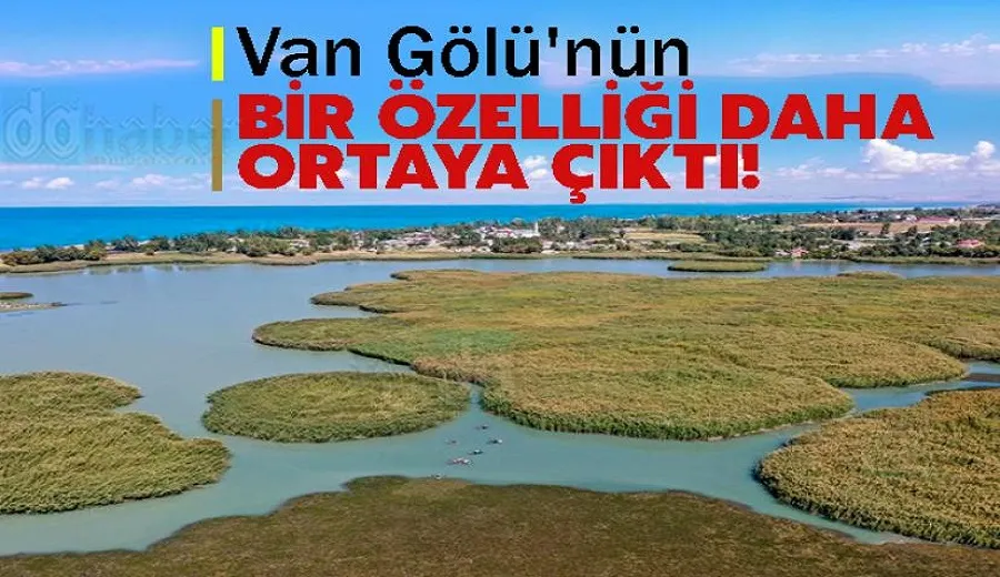 Van Gölü