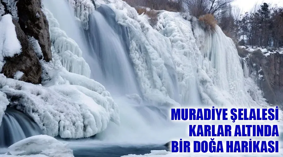 Muradiye Şelalesi Kışın Büyüleyen Görünüme Büründü: Karlar Altında Bir Doğa Harikası!