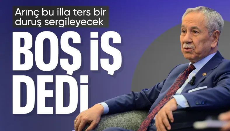 Bülent Arınç, İmralı