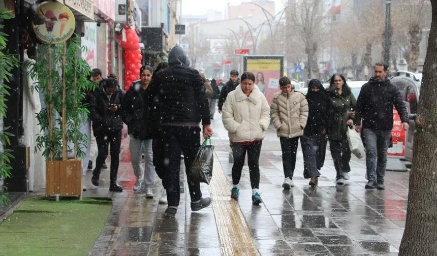 Mart kapıdan baktırdı: Van