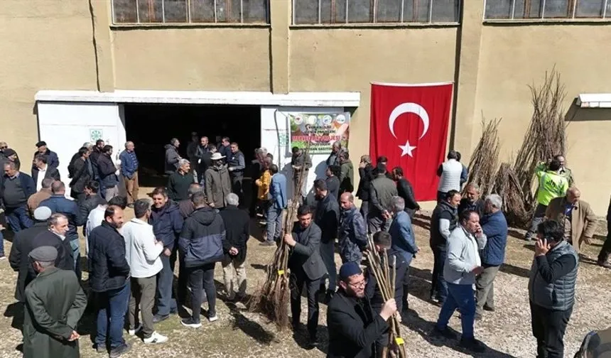 Erciş