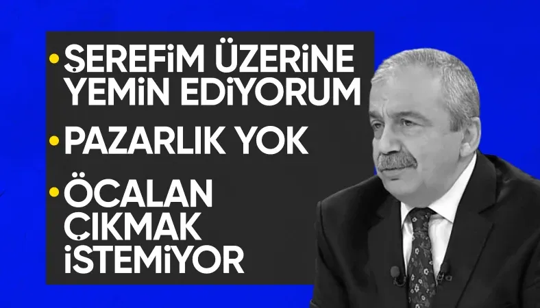 Sırrı Süreyya Önder: Öcalan