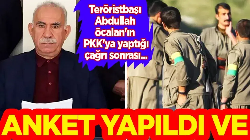 Anket sonuçları açıklandı! Bu gelişme ses getirecek cinsten: PKK silah bırakır mı?