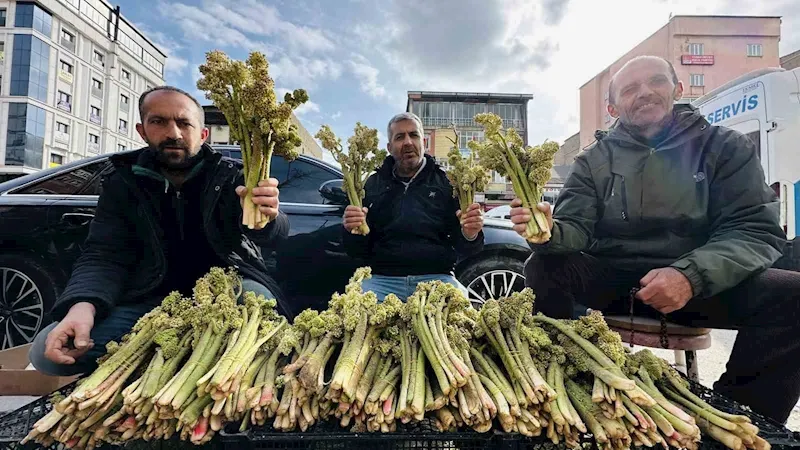 Yayla muzunun destesi 100 TL’den satışa çıkarıldı
