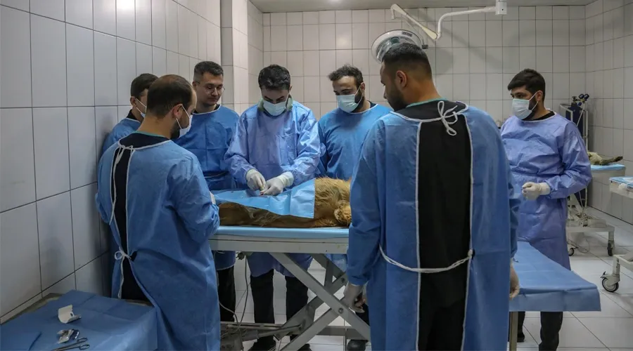 Van Büyükşehir ve YYÜ İşbirliğiyle Veteriner Fakültesi Öğrencilerine Uygulamalı Eğitim