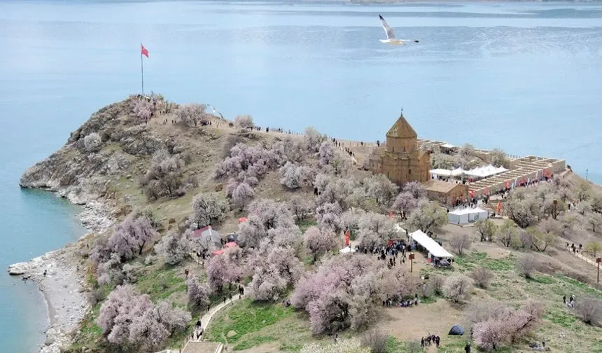 Van Badem Çiçeği Festivali’ne 30 bin kişi katıldı