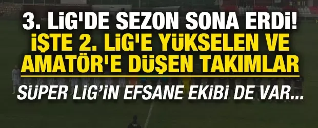 3. Lig