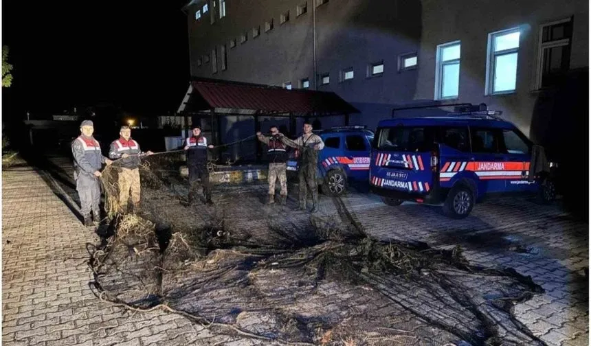 Van’da ele geçirilen 1 ton canlı balık suya bırakıldı