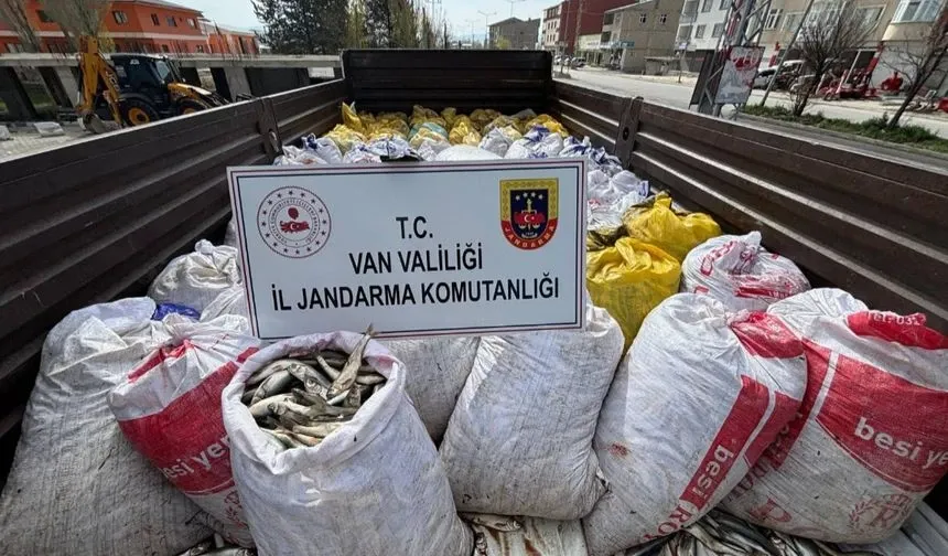 Van balığını kaçak yollardan avlayanlarla mücadele sürüyor
