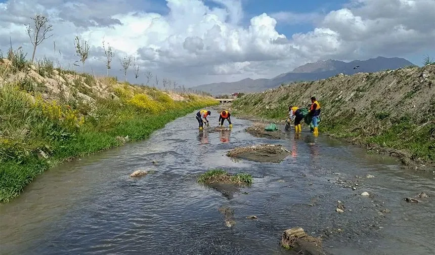 Van balığının göç yolu üzerindeki dereler temizleniyor
