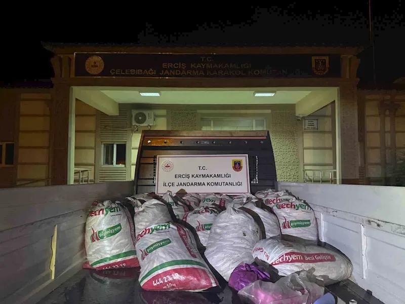  Van’da kaçak balık avlayan 16 kişiye 205 bin 360 lira idari para cezası uygulandı
