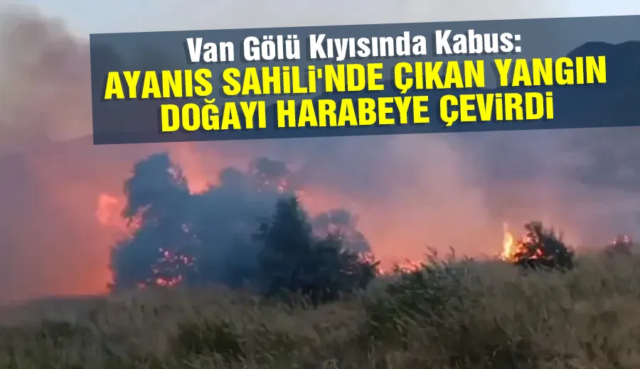 Van Gölü Kıyısında Kabus: Ayanıs Sahili