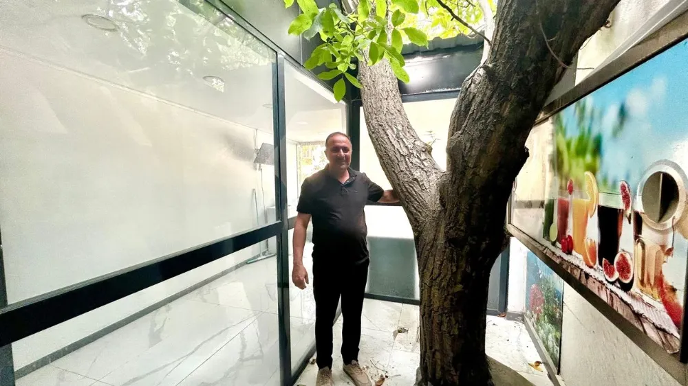 Van’da Örnek Davranış: Asırlık Ağaç Kesilmedi, Korundu