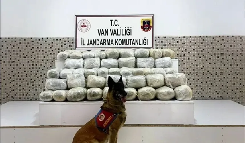 Van Başkale’de Katırla Uyuşturucu Taşındı