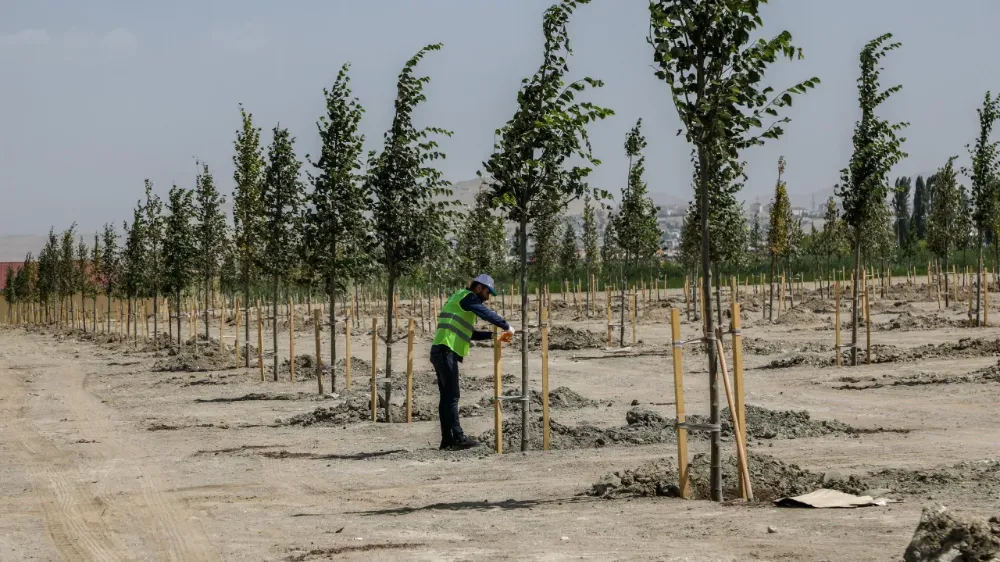 Van Gölü Sahilinde Yeni Yaşam Alanı: Ihlamur Parkı Projesi Başladı