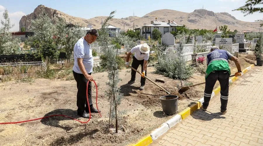  Van Mezarlıklarına Bahar Geldi: 600 Mavi Selvi Ağacıyla Yenileniyor