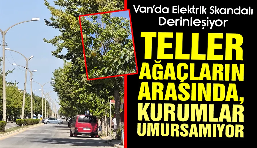Van’da Elektrik Skandalı Derinleşiyor Teller Ağaçların Arasında, Kurumlar Umursamıyor