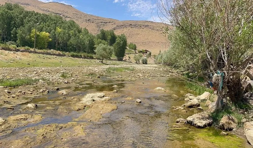 Van’da Bulunan Bendimahi Çayı Kuruyor!