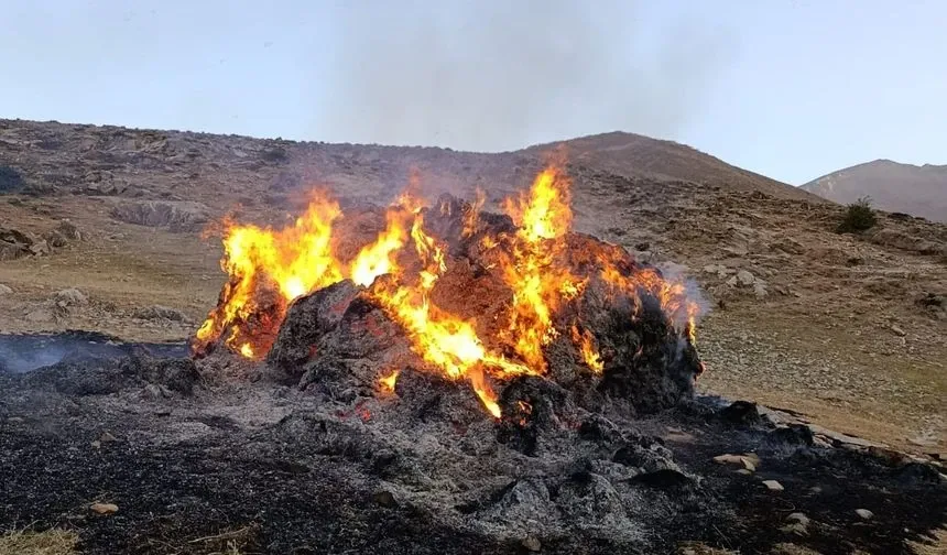 Van’da Korkutan Yangın