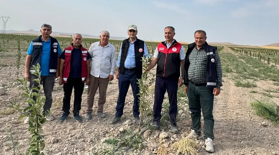 Van Tarımında Yeni Bir Dönem: 650 Bin Fidanla Ekonomik Yeşil Kalkınma Başladı