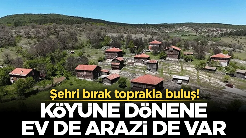 Şehri bırak toprakla buluş! Köyüne dönene ev de arazi de var
