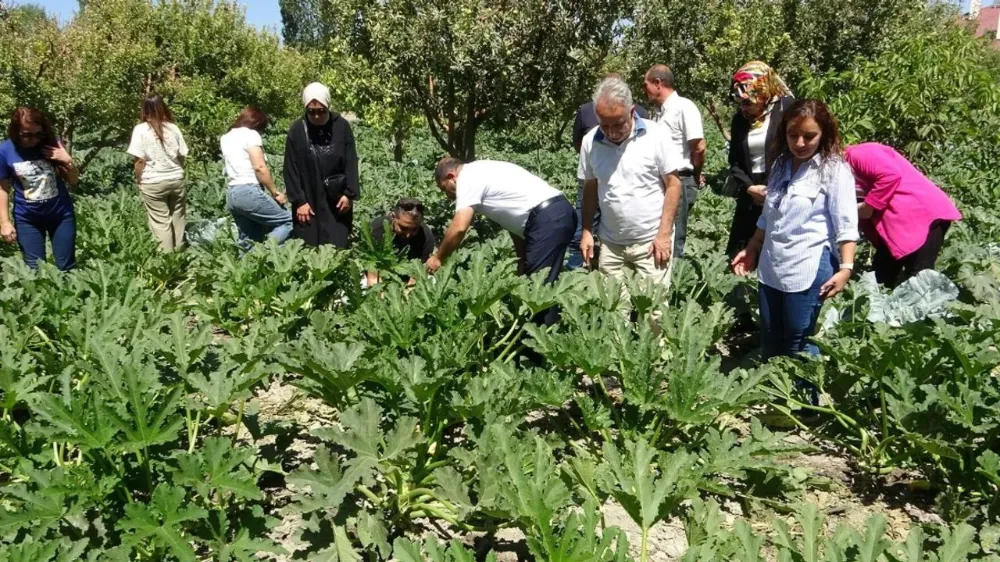 Van’da Tarımsal Sulamada Yeni Dönem