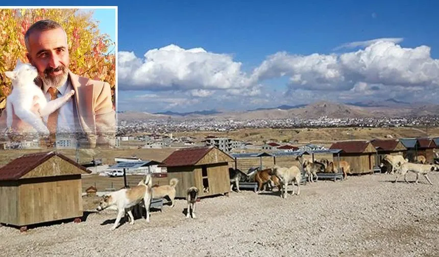 Sokak Hayvanları İçin Van’da Alarm Zili Çalıyor