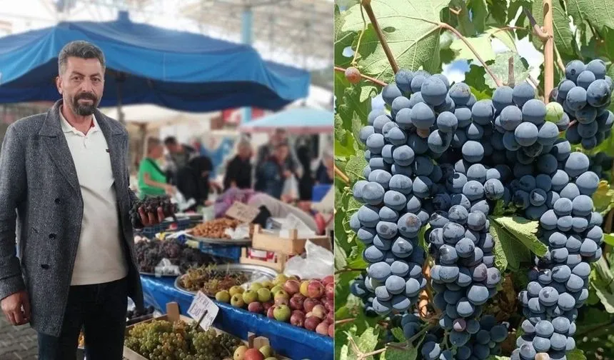 Binlerce Yıllık Erciş Üzümü Tehdit Altında