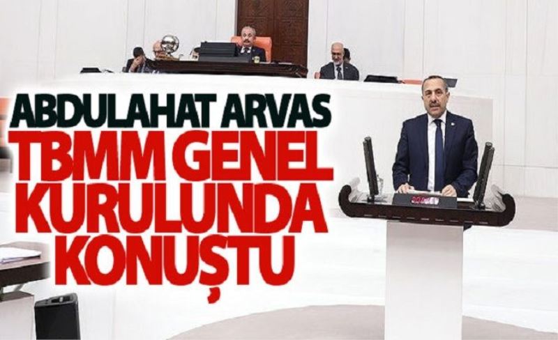 Abdulahat Arvas, TBMM Genel Kurulunda konuştu