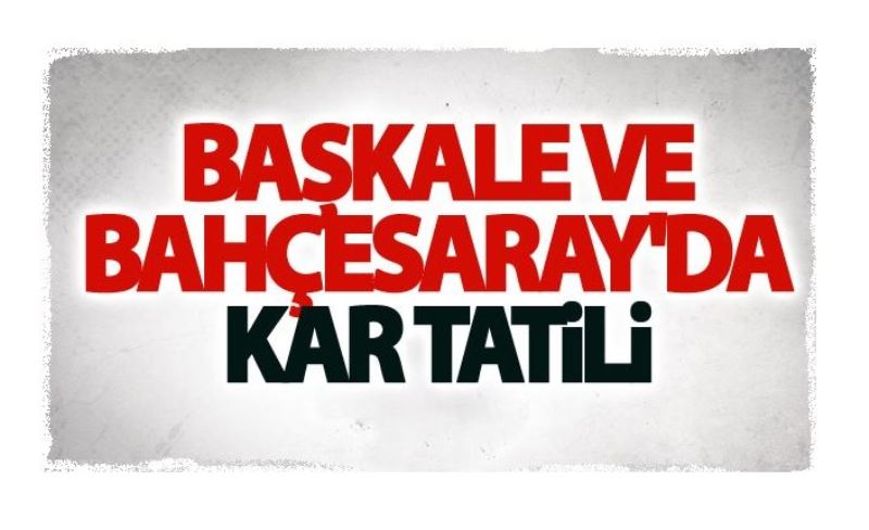 Başkale ve Bahçesaray'da kar tatili