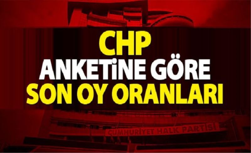 CHP anketine göre oy oranları