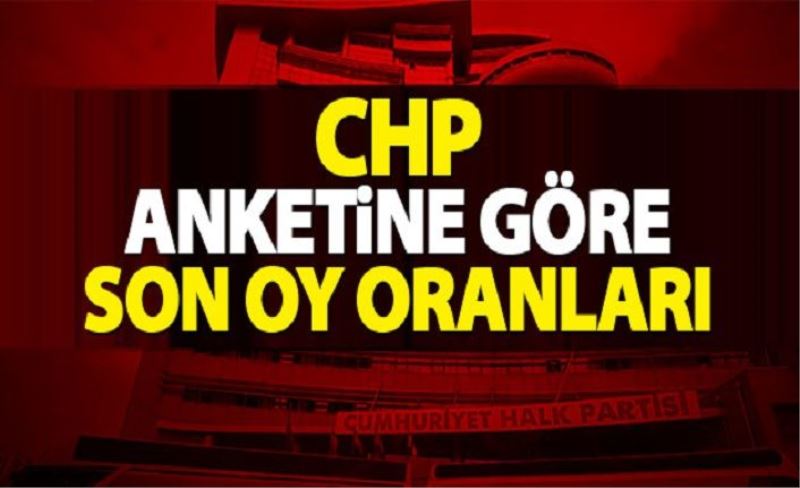 CHP anketine göre oy oranları