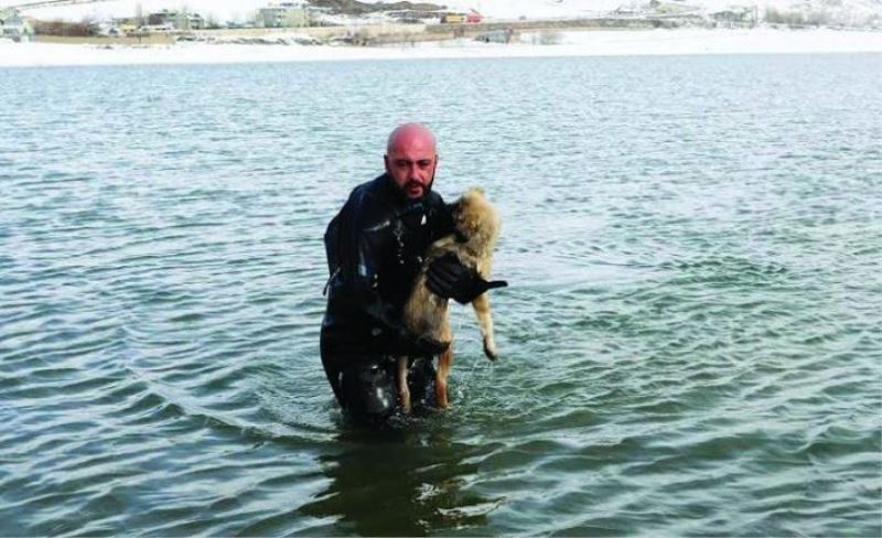Donan gölde mahsur kalan yavru köpek kurtarıldı