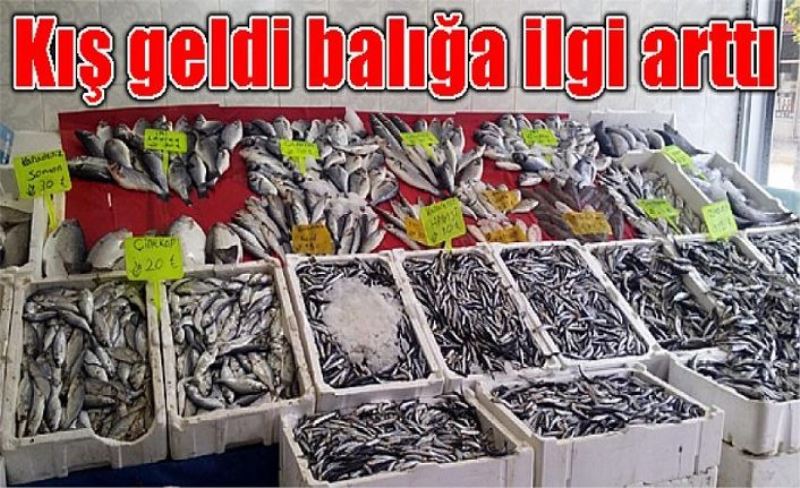 Kış geldi balığa ilgi arttı