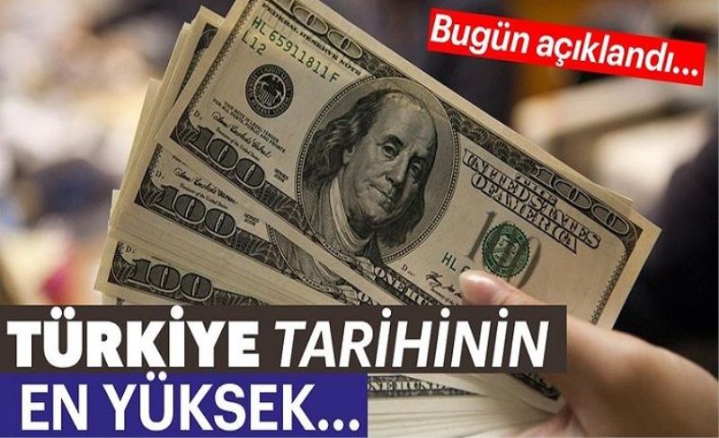 Türkiye, tarihinin en yüksek cari fazlasını verdi