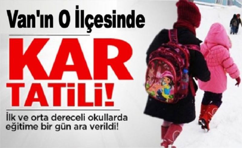 Van'ın Bahçesaray ilçesi'nde kar tatili!