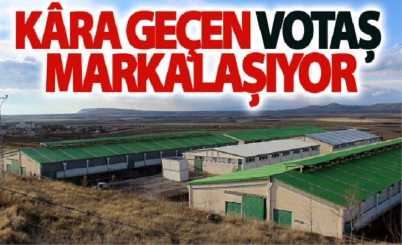 VOTAŞ, marka olma yolunda...