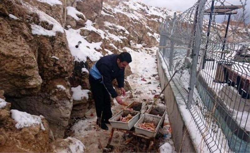 Edremit Belediyesi doğadaki canlıları unutmadı