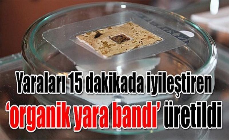 Yaraları 15 dakikada iyileştiren ‘organik yara bandı’ üretildi