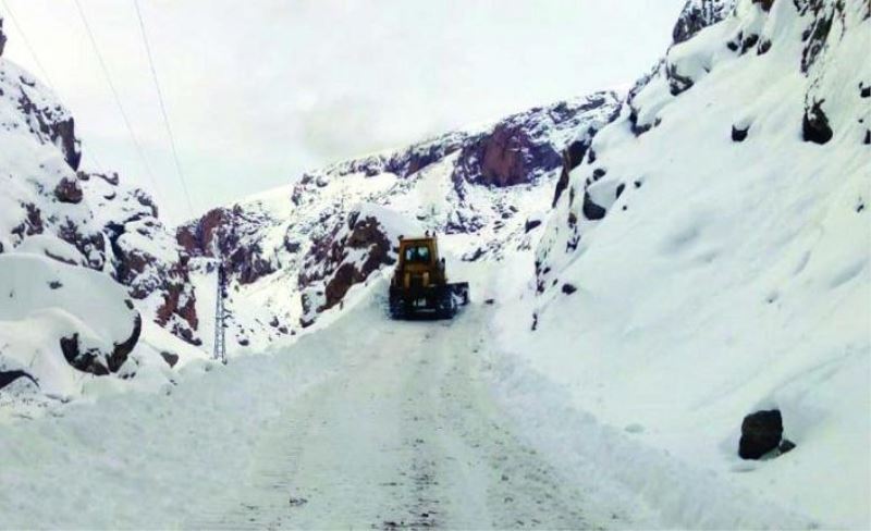 Van’da 32 yerleşim yeri ulaşıma kapalı