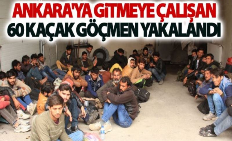 Ankara’ya gitmeye çalışan 60 kaçak göçmen yakalandı