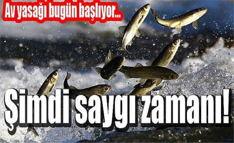 Av yasağı bugün başlıyor...