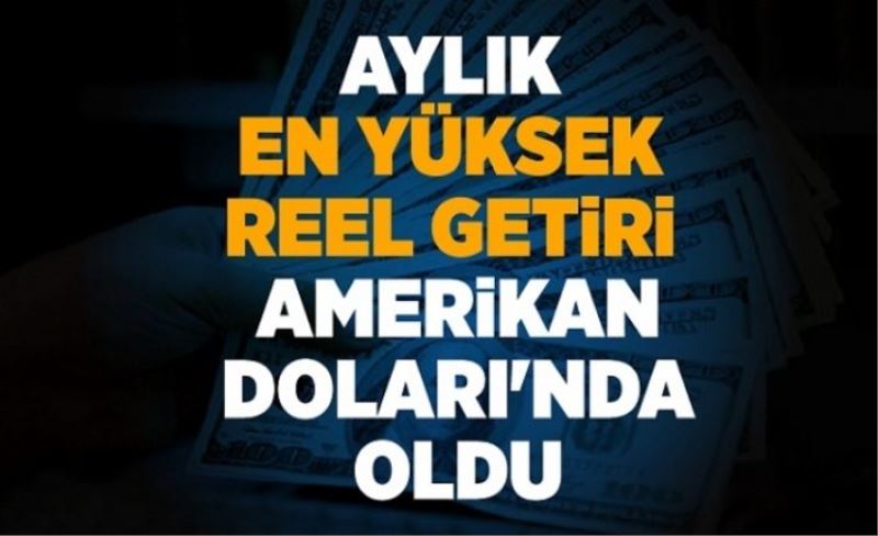 Aylık en yüksek reel getiri Amerikan Doları'nda oldu