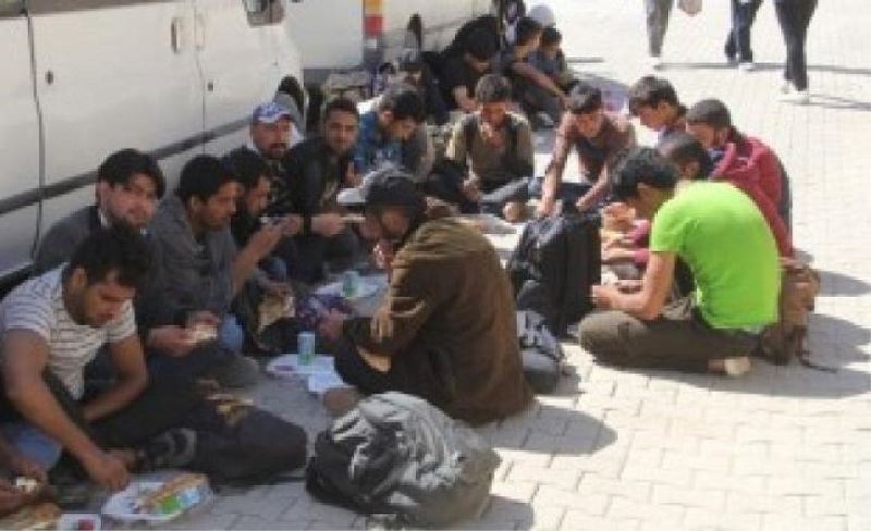Başkale'de 14 kaçak göçmen yakalandı