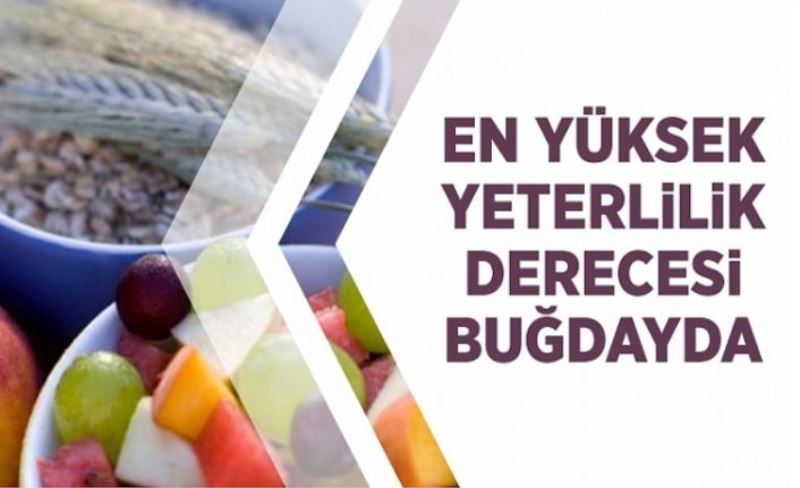 En yüksek yeterlilik derecesi buğdayda