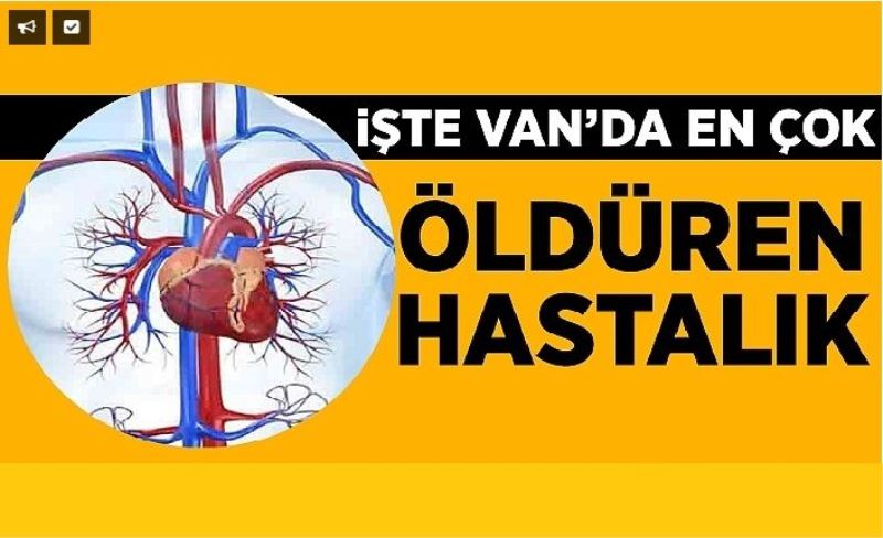 İşte Van’da en çok öldüren hastalık